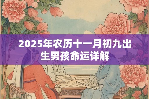 2025年农历十一月初九出生男孩命运详解