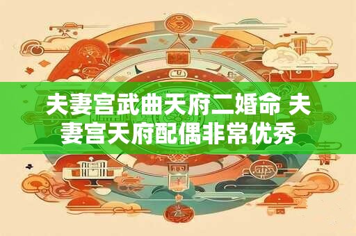夫妻宫武曲天府二婚命 夫妻宫天府配偶非常优秀