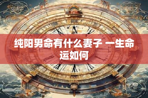 纯阳男命有什么妻子 一生命运如何