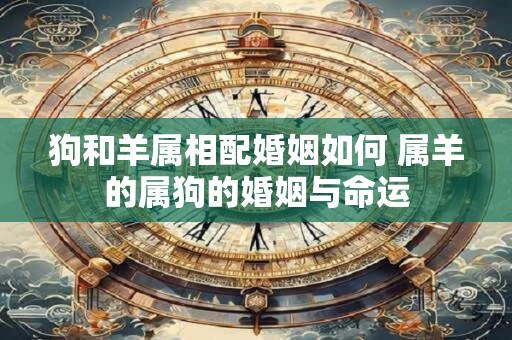 狗和羊属相配婚姻如何 属羊的属狗的婚姻与命运
