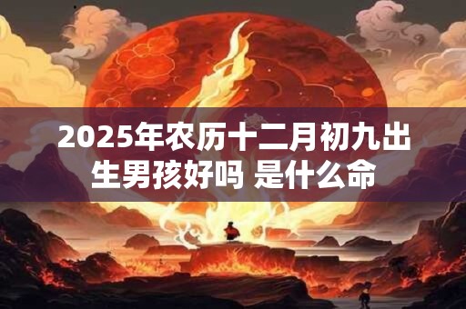 2025年农历十二月初九出生男孩好吗 是什么命