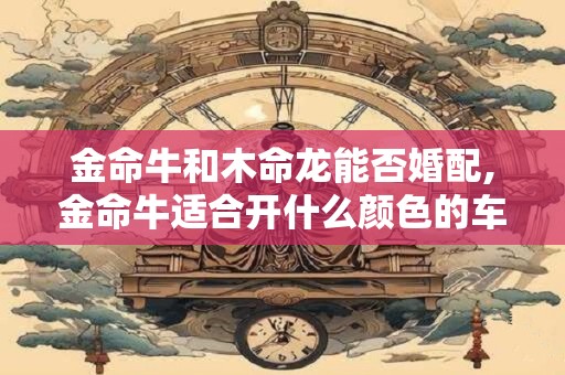 金命牛和木命龙能否婚配,金命牛适合开什么颜色的车