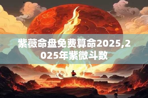 紫薇命盘免费算命2025,2025年紫微斗数
