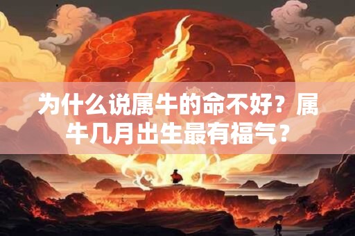 为什么说属牛的命不好？属牛几月出生最有福气？