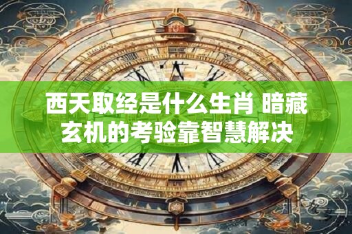 西天取经是什么生肖 暗藏玄机的考验靠智慧解决