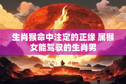 生肖猴命中注定的正缘 属猴女能驾驭的生肖男