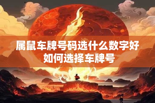 属鼠车牌号码选什么数字好 如何选择车牌号