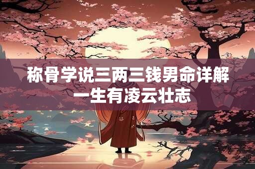 称骨学说三两三钱男命详解  一生有凌云壮志