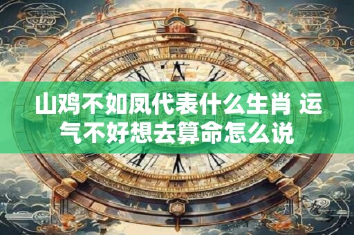 山鸡不如凤代表什么生肖 运气不好想去算命怎么说
