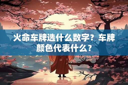 火命车牌选什么数字？车牌颜色代表什么？