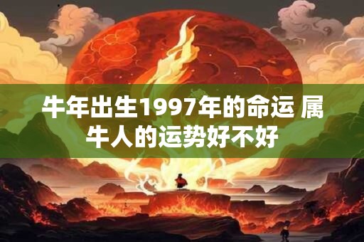 牛年出生1997年的命运 属牛人的运势好不好
