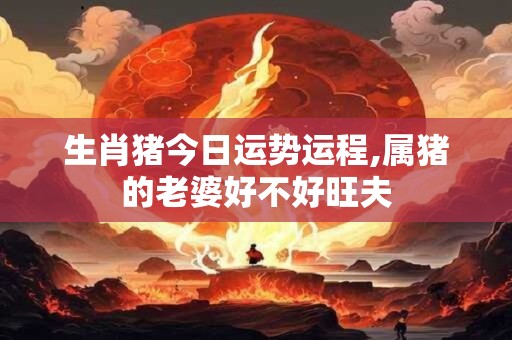 生肖猪今日运势运程,属猪的老婆好不好旺夫