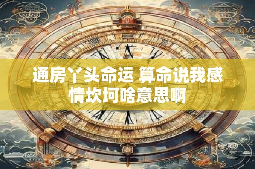 通房丫头命运 算命说我感情坎坷啥意思啊
