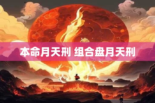 本命月天刑 组合盘月天刑