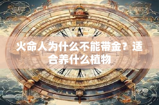 火命人为什么不能带金？适合养什么植物