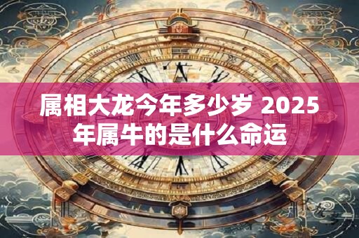 属相大龙今年多少岁 2025年属牛的是什么命运