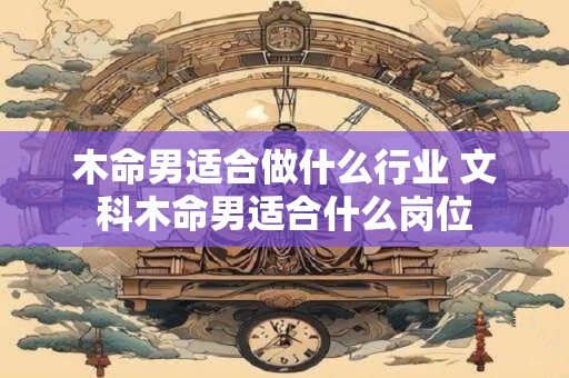 木命男适合做什么行业 文科木命男适合什么岗位