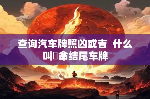 查询汽车牌照凶或吉  什么叫絕命结尾车牌