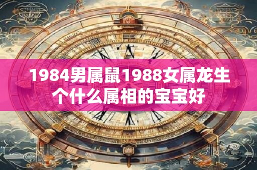 1984男属鼠1988女属龙生个什么属相的宝宝好