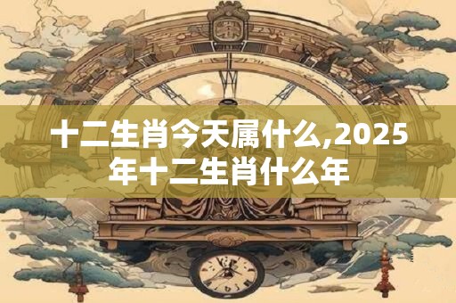 十二生肖今天属什么,2025年十二生肖什么年