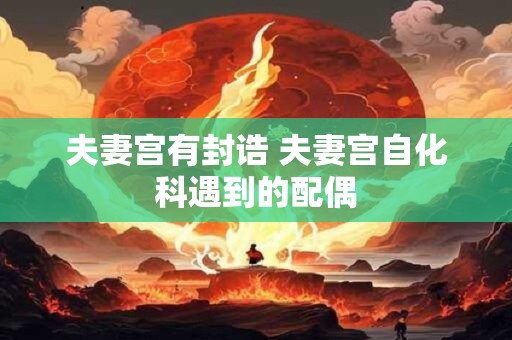 夫妻宫有封诰 夫妻宫自化科遇到的配偶