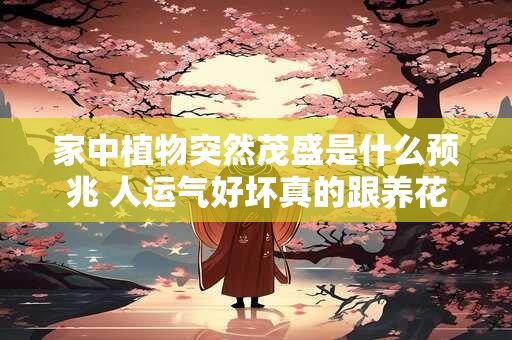 家中植物突然茂盛是什么预兆 人运气好坏真的跟养花有关吗