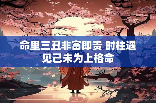 命里三丑非富即贵 时柱遇见己未为上格命