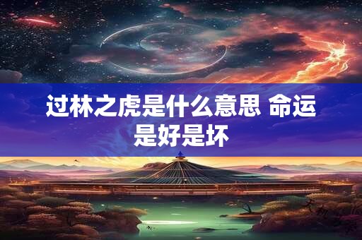过林之虎是什么意思 命运是好是坏