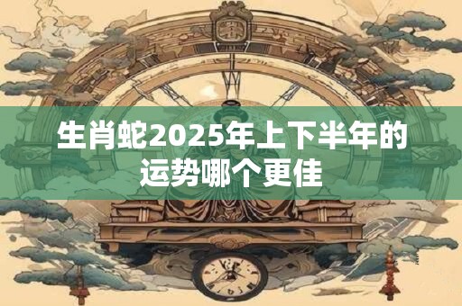 生肖蛇2025年上下半年的运势哪个更佳