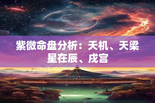 紫微命盘分析：天机、天梁星在辰、戌宫