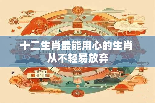 十二生肖最能用心的生肖 从不轻易放弃