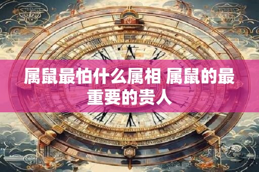 属鼠最怕什么属相 属鼠的最重要的贵人