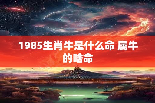 1985生肖牛是什么命 属牛的啥命