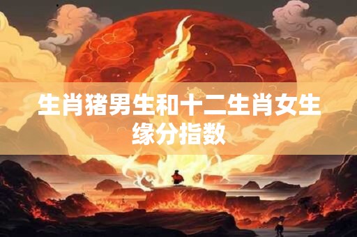 生肖猪男生和十二生肖女生缘分指数