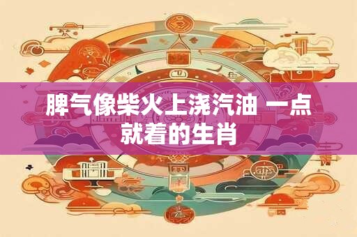 脾气像柴火上浇汽油 一点就着的生肖