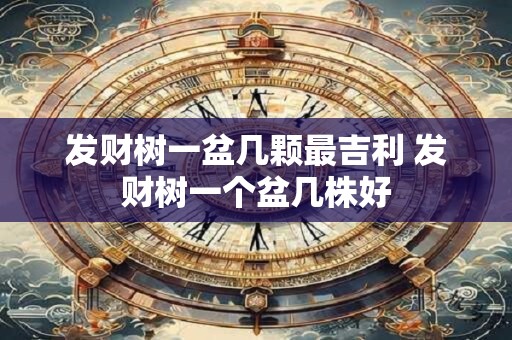 发财树一盆几颗最吉利 发财树一个盆几株好