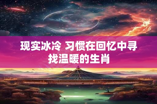 现实冰冷 习惯在回忆中寻找温暖的生肖