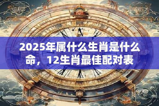 2025年属什么生肖是什么命，12生肖最佳配对表