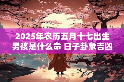 2025年农历五月十七出生男孩是什么命 日子卦象吉凶
