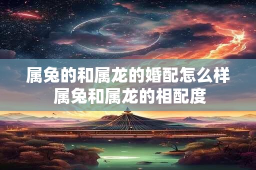 属兔的和属龙的婚配怎么样 属兔和属龙的相配度