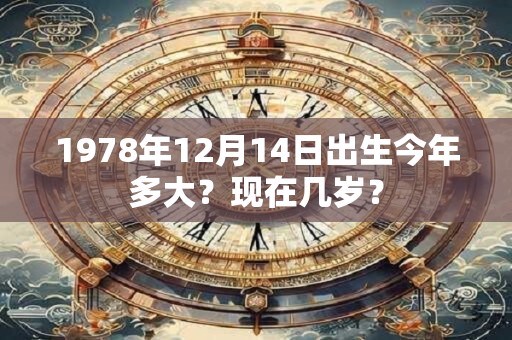 1978年12月14日出生今年多大？现在几岁？