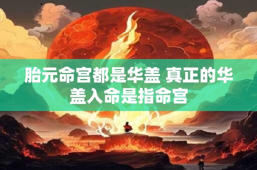 胎元命宫都是华盖 真正的华盖入命是指命宫