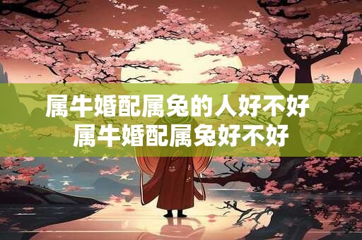 属牛婚配属兔的人好不好 属牛婚配属兔好不好