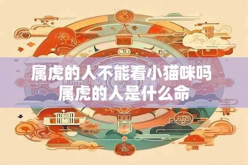 属虎的人不能看小猫咪吗 属虎的人是什么命