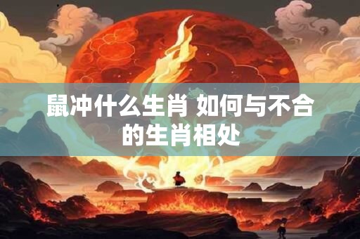 鼠冲什么生肖 如何与不合的生肖相处