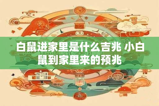 白鼠进家里是什么吉兆 小白鼠到家里来的预兆