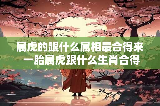 属虎的跟什么属相最合得来 一胎属虎跟什么生肖合得来