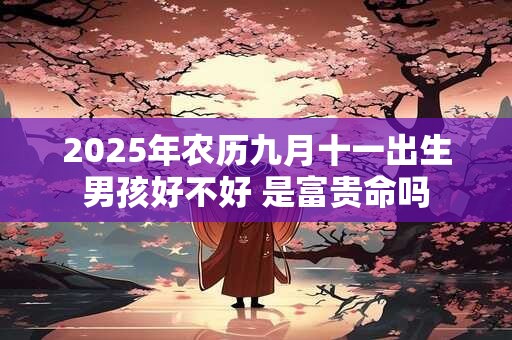 2025年农历九月十一出生男孩好不好 是富贵命吗