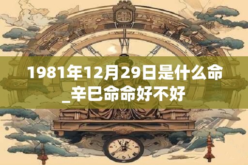1981年12月29日是什么命_辛巳命命好不好