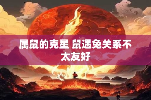 属鼠的克星 鼠遇兔关系不太友好